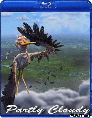 Переменная облачность (2009)