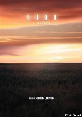 Чудо (2012) смотреть онлайн