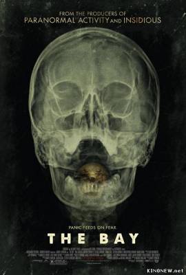 Залив (2012) смотреть онлайн