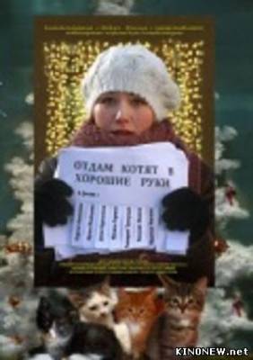 Отдам котят в хорошие руки (2012) смотреть онлайн
